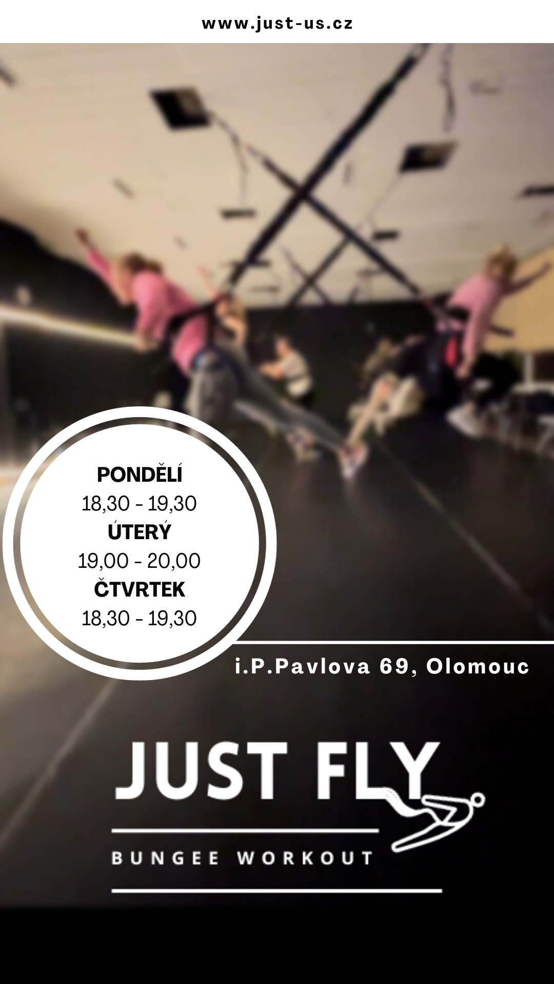 Just Fly Plakát
